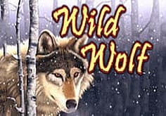 Wild Wolf slot
