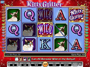Kitty Glitter Wild