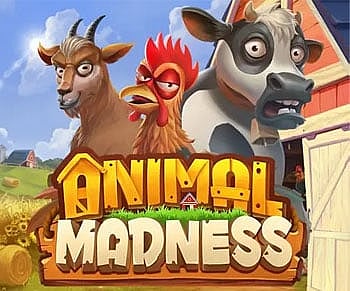 Play Animal Madness at PlayFrank Online Casino 