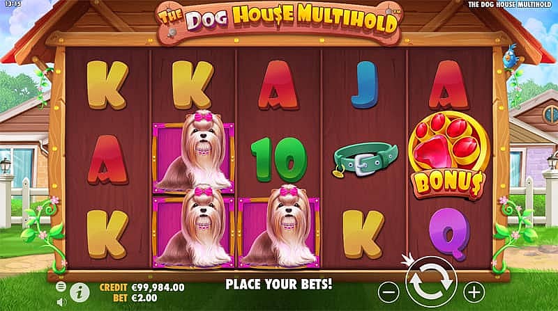 The Dog House Multihold Slot - PlayFrank UK Casino 