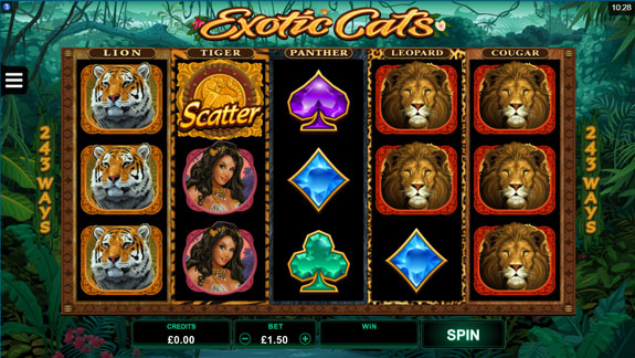 Exotic Cats slot by Microgaming